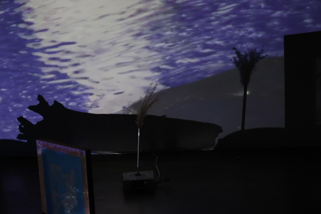 폭력이 지나간 곳, 비인간 기록자의 소리와 몽타주 : 《속삭이는 대지》와 《음소거된 물의 소리》를 보고&nbsp;(2025)